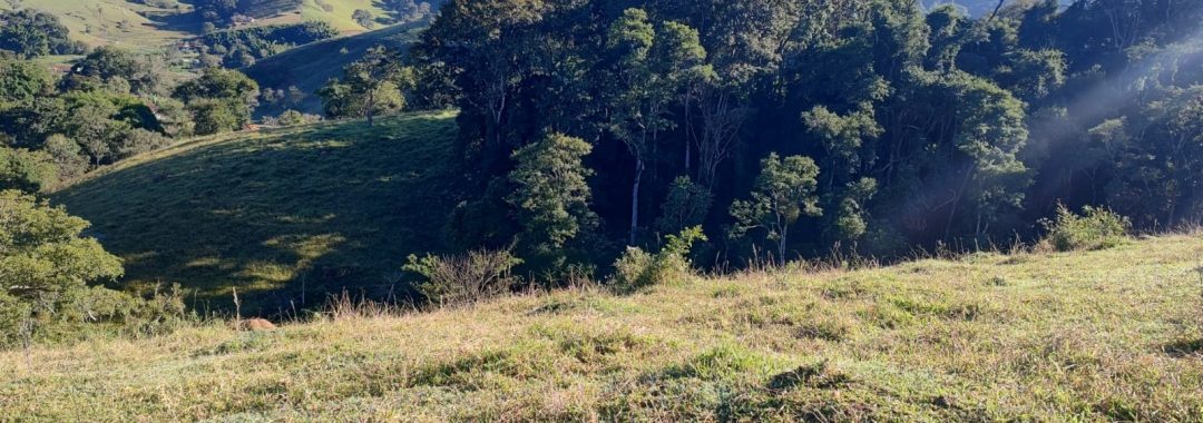 Terreno para chácara com riacho à venda em Córrego do Bom Jesus MG (3)