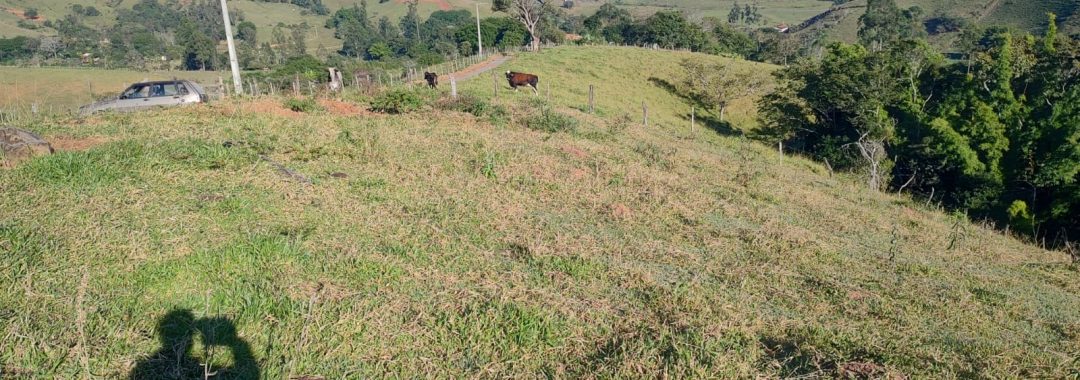 Terreno para chácara com riacho à venda em Córrego do Bom Jesus MG (4)