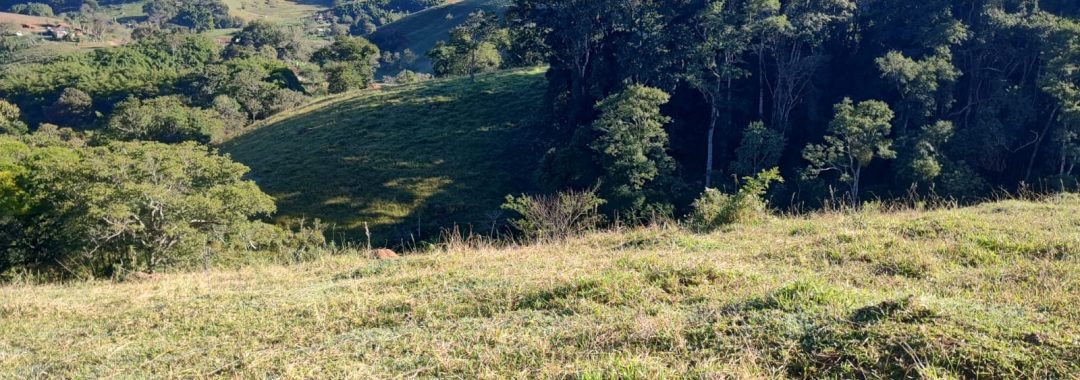 Terreno para chácara com riacho à venda em Córrego do Bom Jesus MG (6)