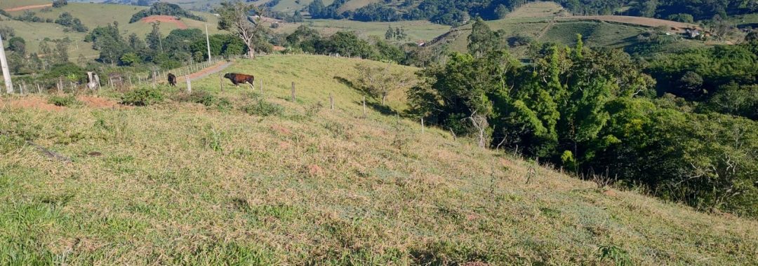 Terreno para chácara com riacho à venda em Córrego do Bom Jesus MG (7)