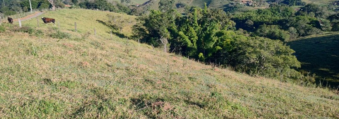 Terreno para chácara com riacho à venda em Córrego do Bom Jesus MG (8)