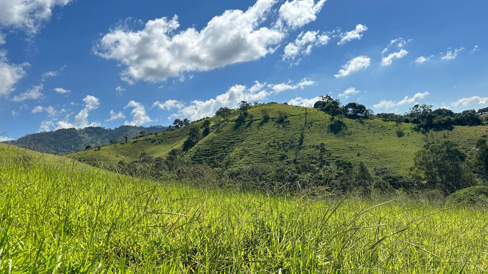 Terreno para venda de 20.000m2 em Cambuí no Sul de MG (2)