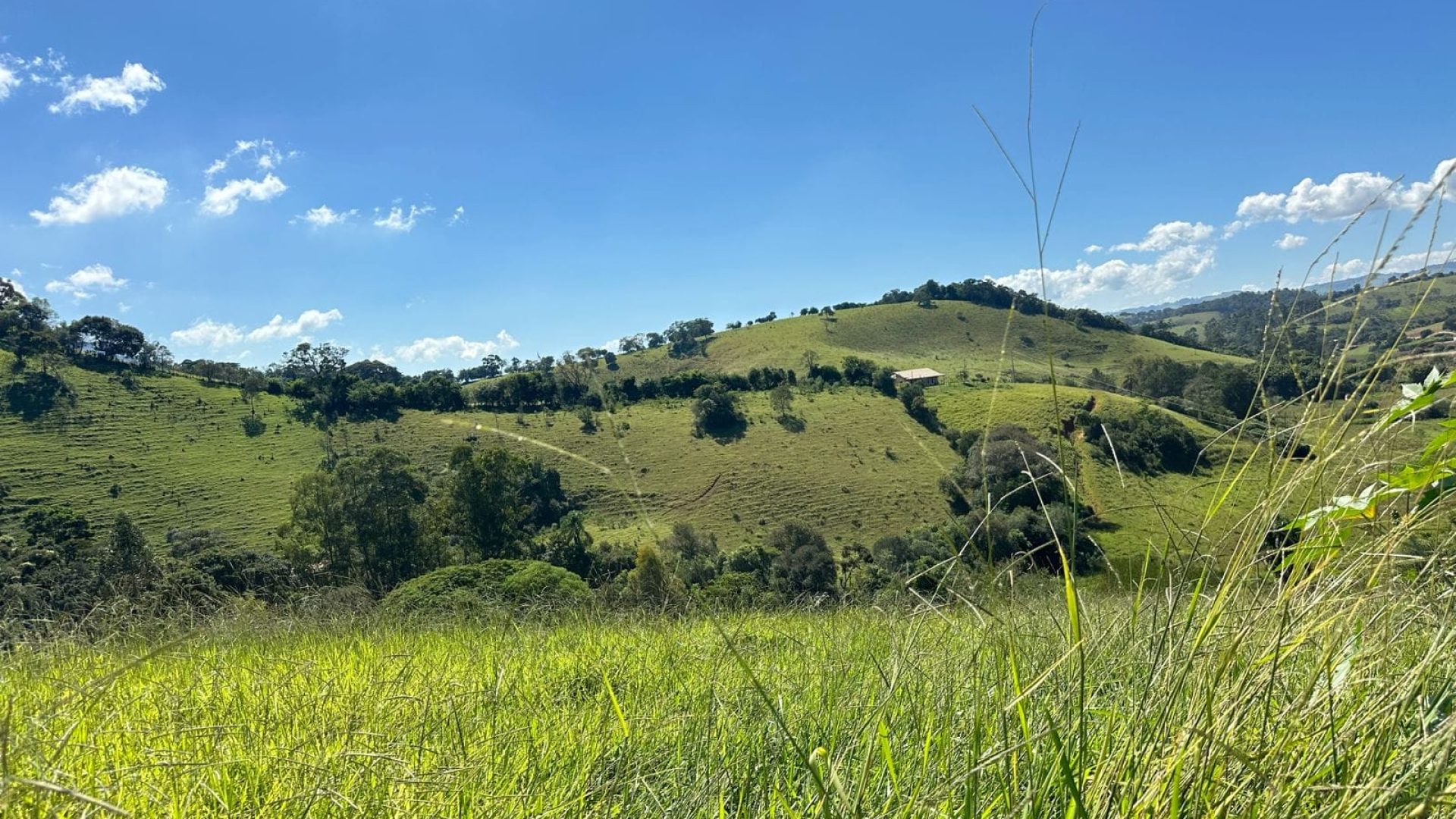 Terreno para venda de 20.000m2 em Cambuí no Sul de MG (3)