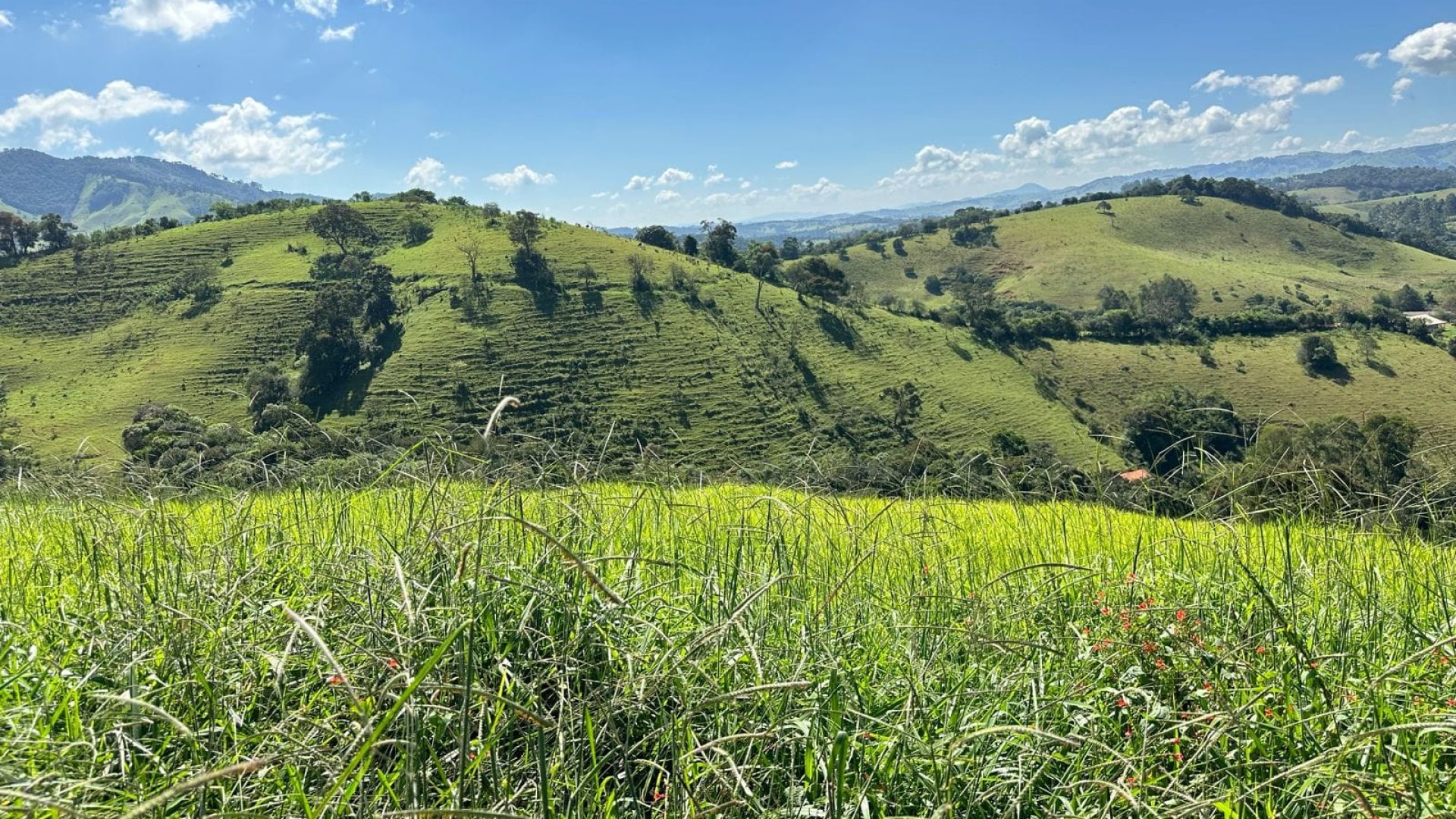 Terreno para venda de 20.000m2 em Cambuí no Sul de MG (4)