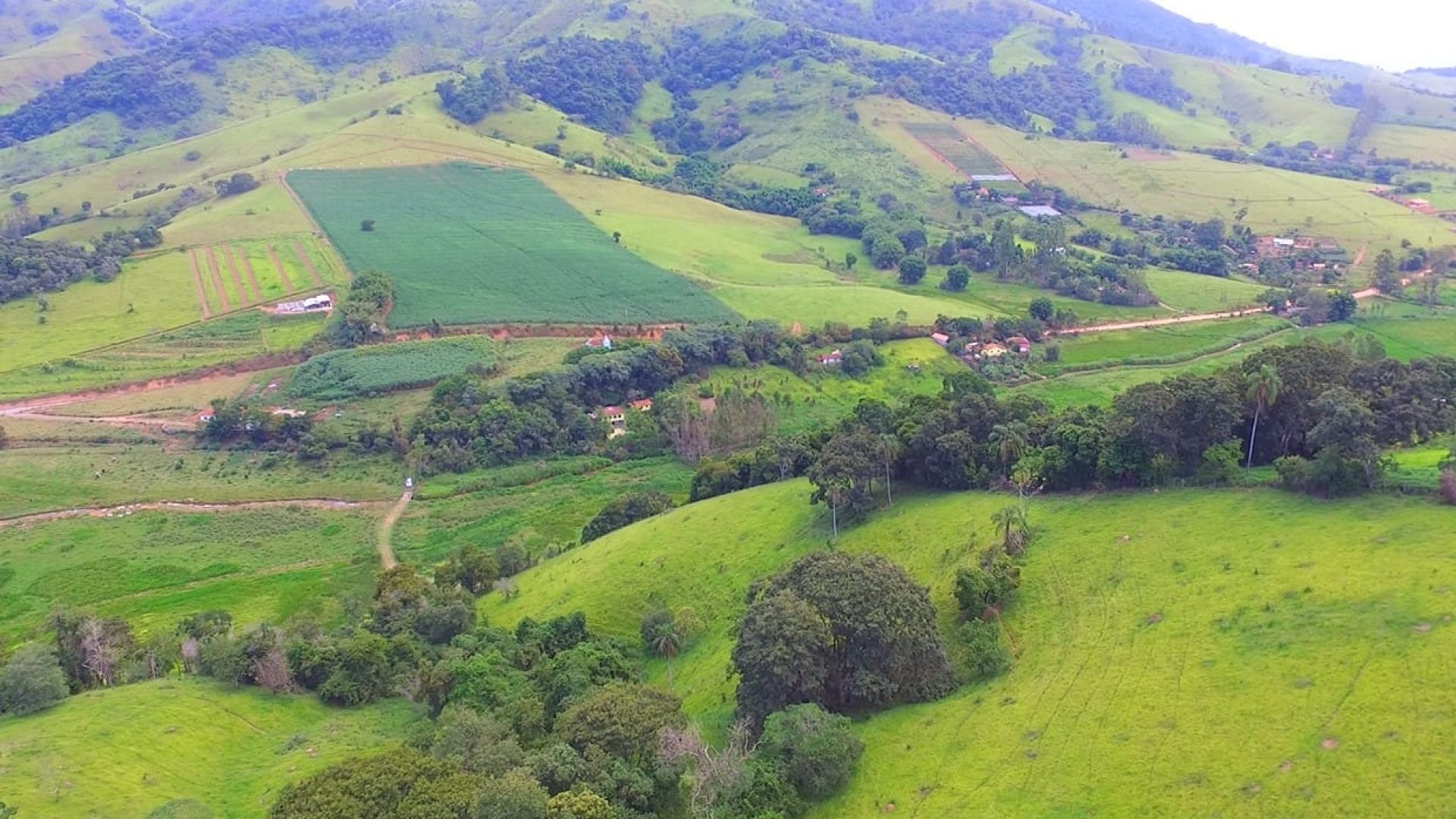 a-venda-em-cambui-sitio-de-15-alqueires-com-casa-no-estilo-tipico-mineiro-SILVACORRETORDEIMOVEIS (16)