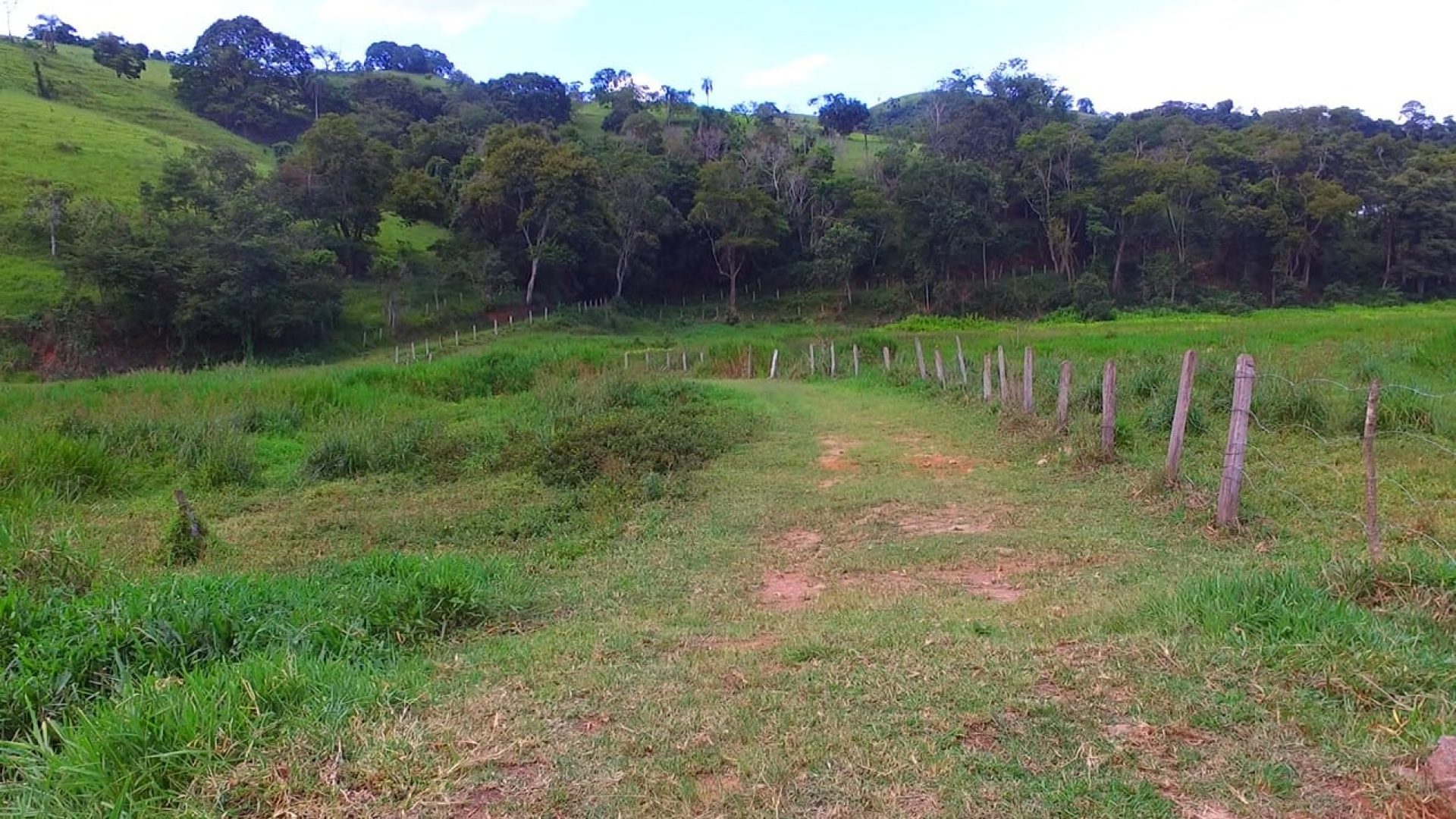 a-venda-em-cambui-sitio-de-15-alqueires-com-casa-no-estilo-tipico-mineiro-SILVACORRETORDEIMOVEIS (18)