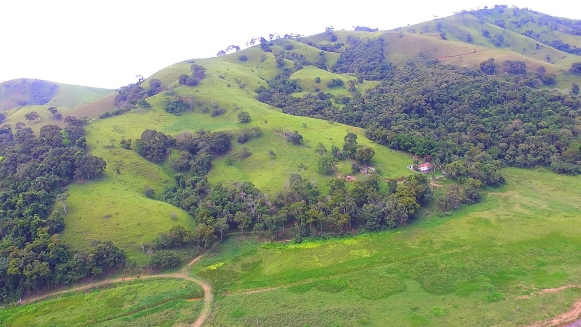 a-venda-em-cambui-sitio-de-15-alqueires-com-casa-no-estilo-tipico-mineiro-SILVACORRETORDEIMOVEIS (19)