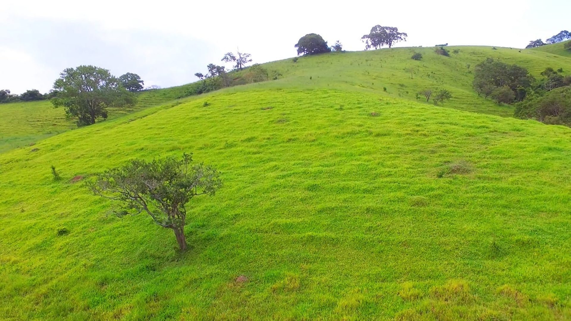 a-venda-em-cambui-sitio-de-15-alqueires-com-casa-no-estilo-tipico-mineiro-SILVACORRETORDEIMOVEIS (30)