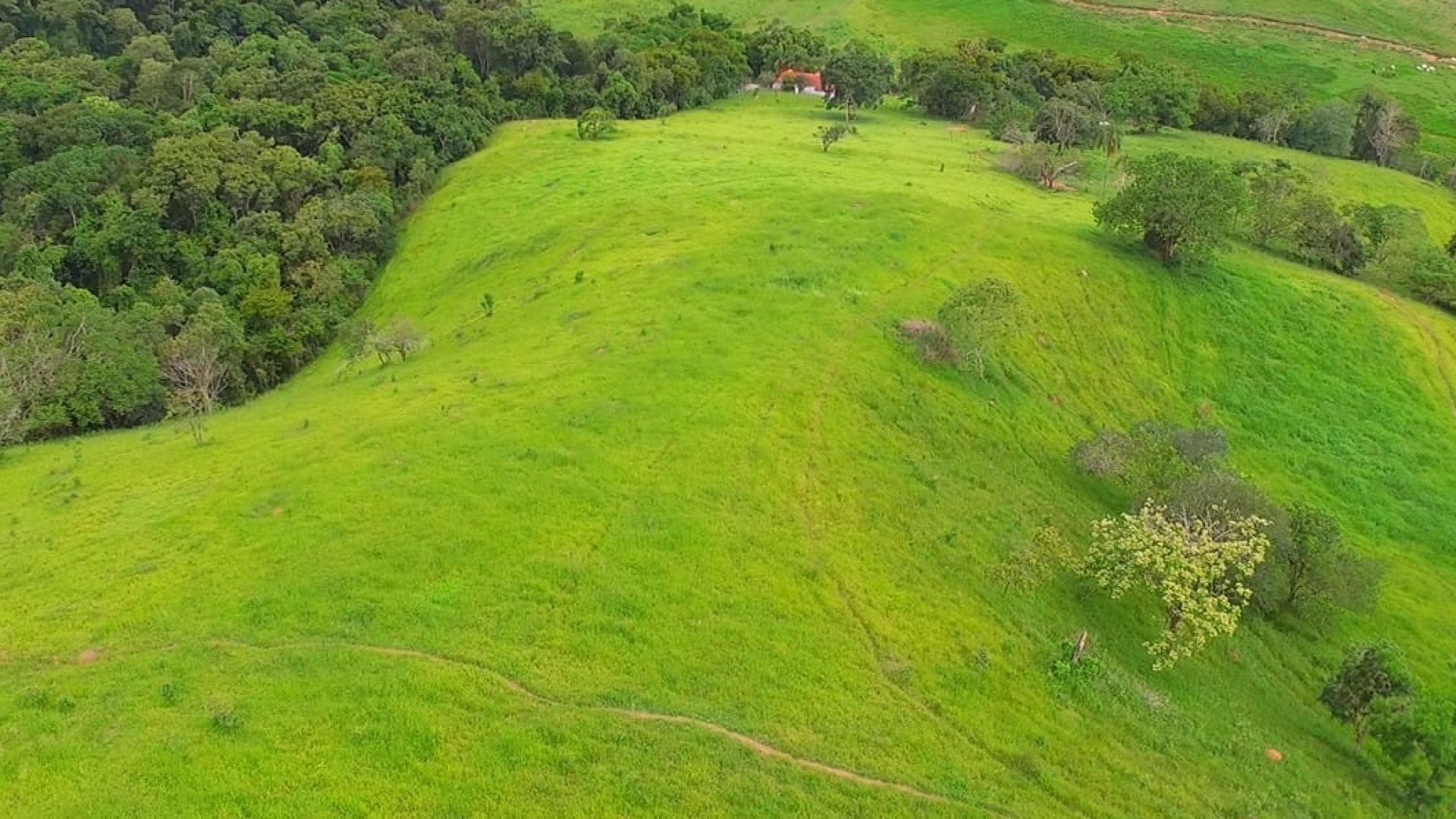 a-venda-em-cambui-sitio-de-15-alqueires-com-casa-no-estilo-tipico-mineiro-SILVACORRETORDEIMOVEIS (32)