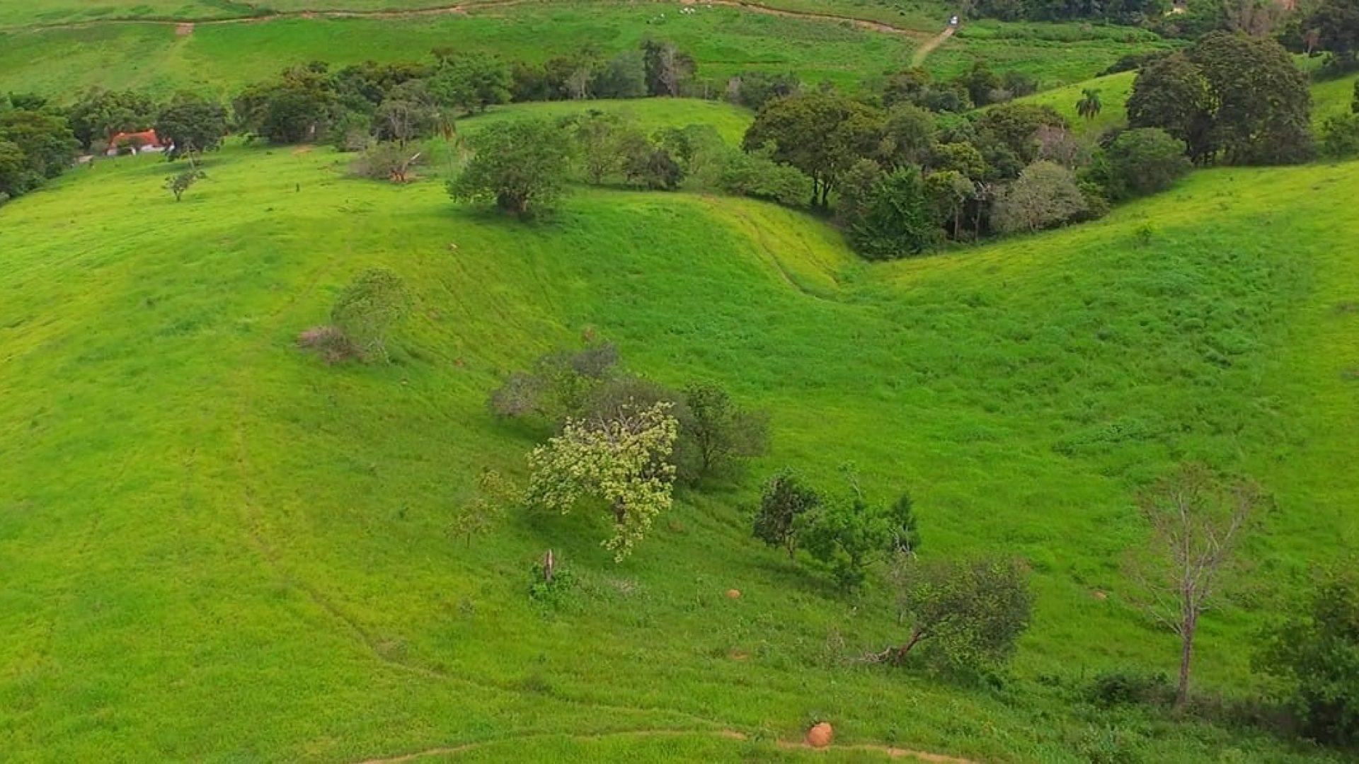 a-venda-em-cambui-sitio-de-15-alqueires-com-casa-no-estilo-tipico-mineiro-SILVACORRETORDEIMOVEIS (33)