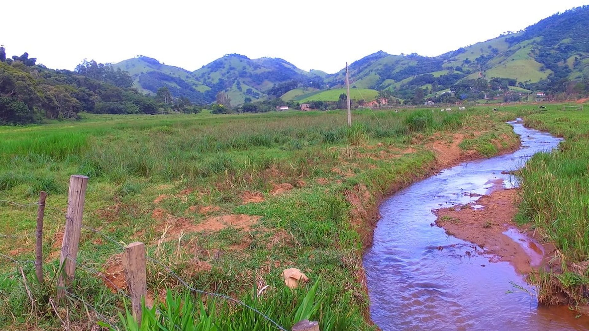 a-venda-em-cambui-sitio-de-15-alqueires-com-casa-no-estilo-tipico-mineiro-SILVACORRETORDEIMOVEIS (6)