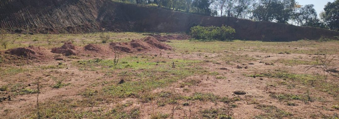 atencao-empresarios-area-industrial-de-35-000-m-a-venda-na-regiao-de-cambui-mg- (15)