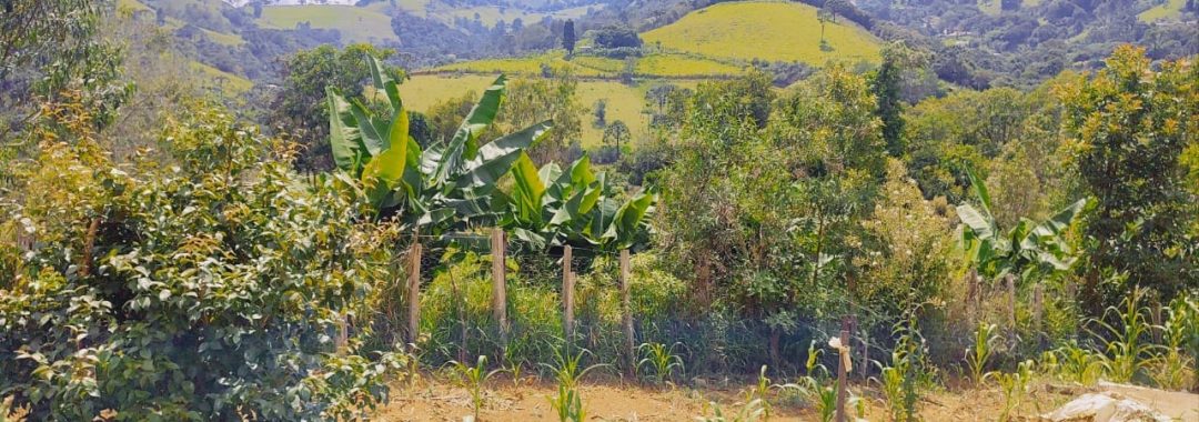 chacara-a-venda-de-1-800m²-com-casa-na-cidade-de-corrego-do-bom-jesus-no-sul-de-minas (10)