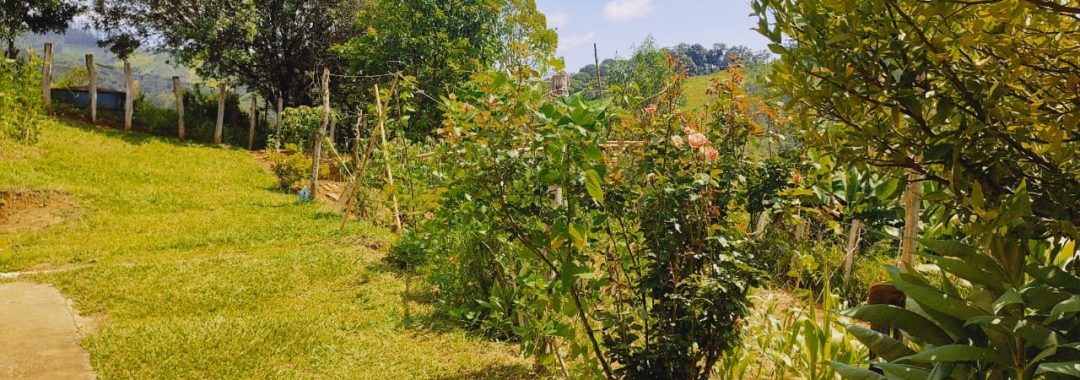 chacara-a-venda-de-1-800m²-com-casa-na-cidade-de-corrego-do-bom-jesus-no-sul-de-minas (13)