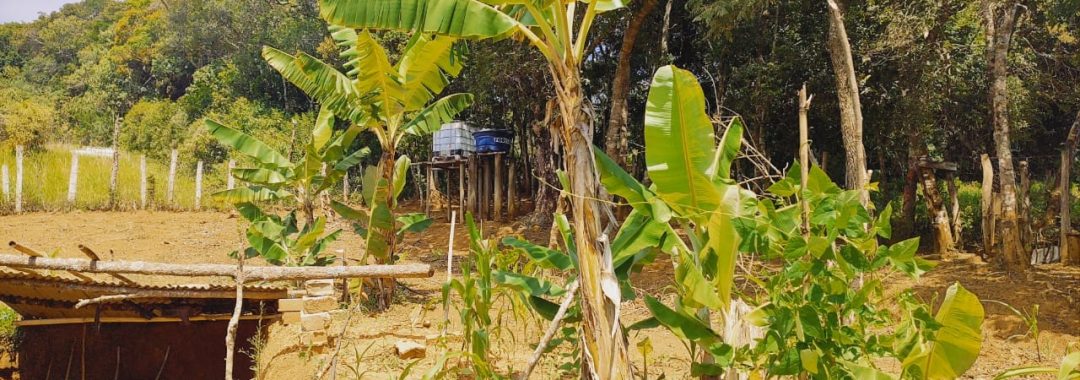 chacara-a-venda-de-1-800m²-com-casa-na-cidade-de-corrego-do-bom-jesus-no-sul-de-minas (14)