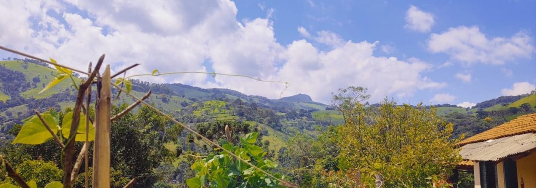 chacara-a-venda-de-1-800m²-com-casa-na-cidade-de-corrego-do-bom-jesus-no-sul-de-minas (5)