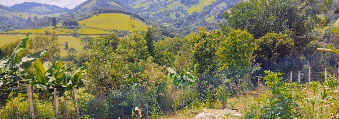 chacara-a-venda-de-1-800m²-com-casa-na-cidade-de-corrego-do-bom-jesus-no-sul-de-minas (7)