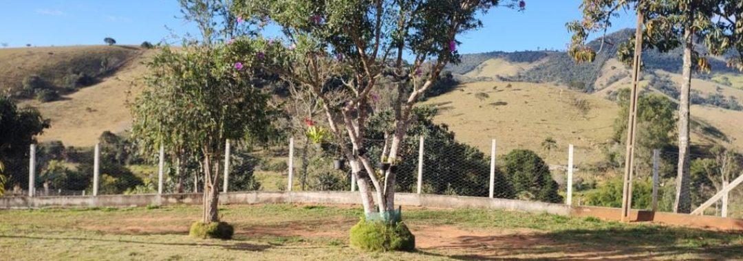 chacara-de-3-600m-com-casa-e-vista-panoramica-cambui-mg (16)