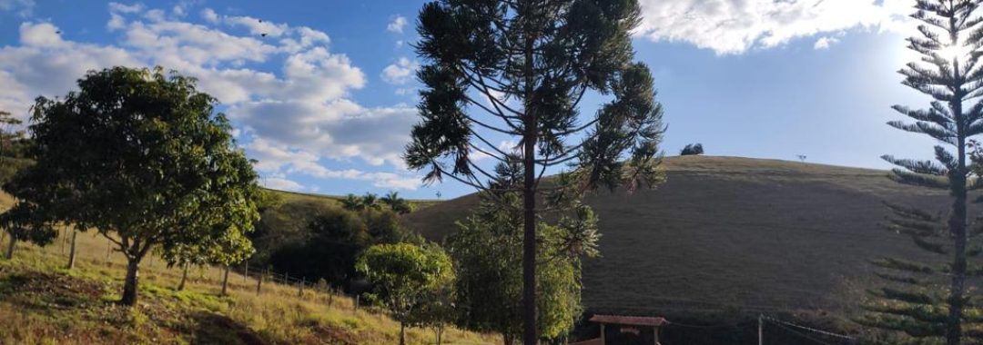 chacara-de-3-600m-com-casa-e-vista-panoramica-cambui-mg (7)
