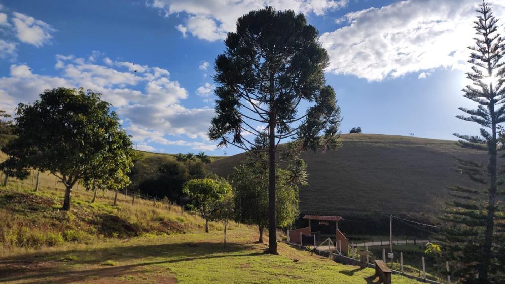 chacara-de-3-600m-com-casa-e-vista-panoramica-cambui-mg (7)