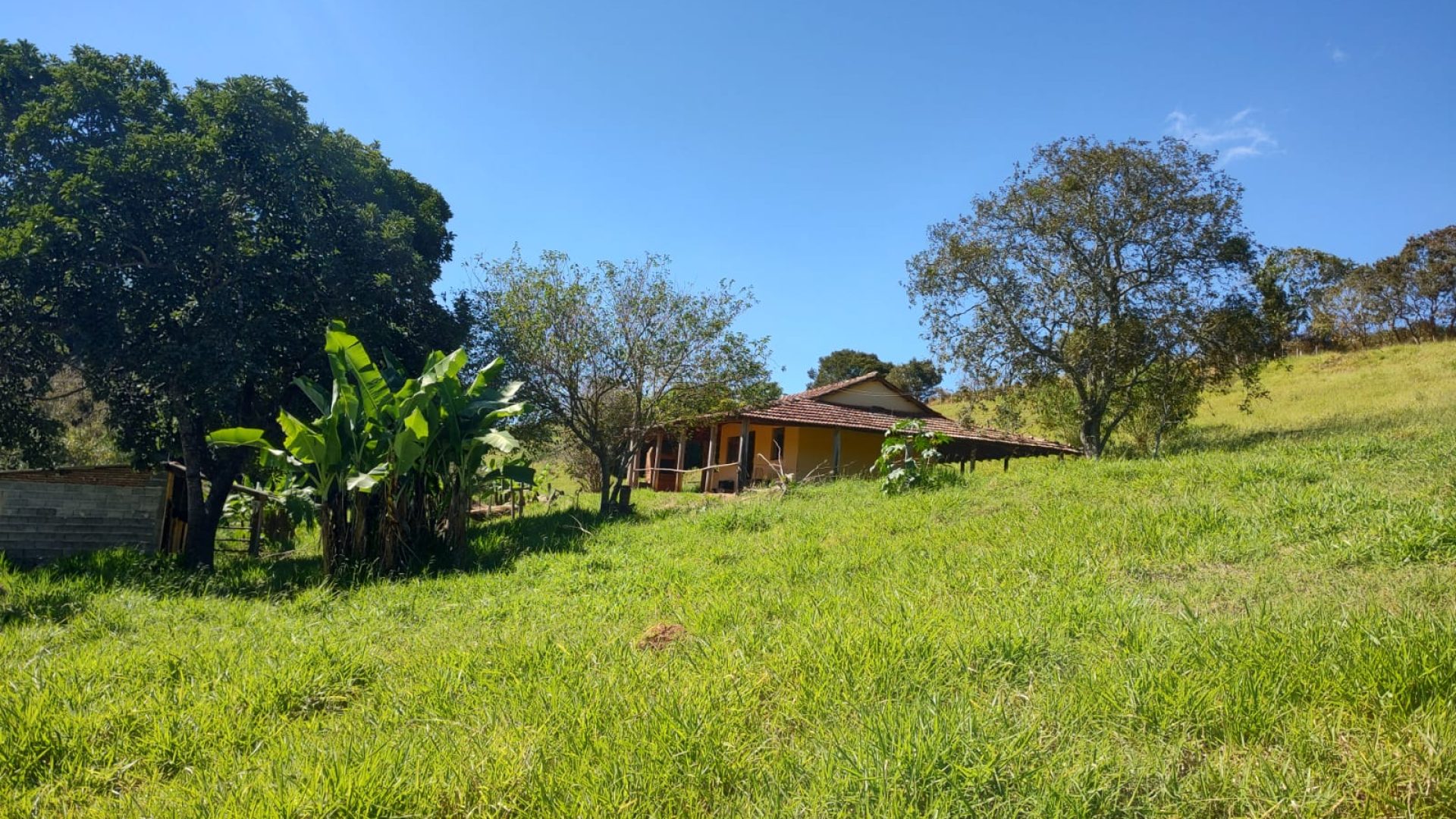 chacara-de-6-000m²-a-venda-em-cambui-mg (17)