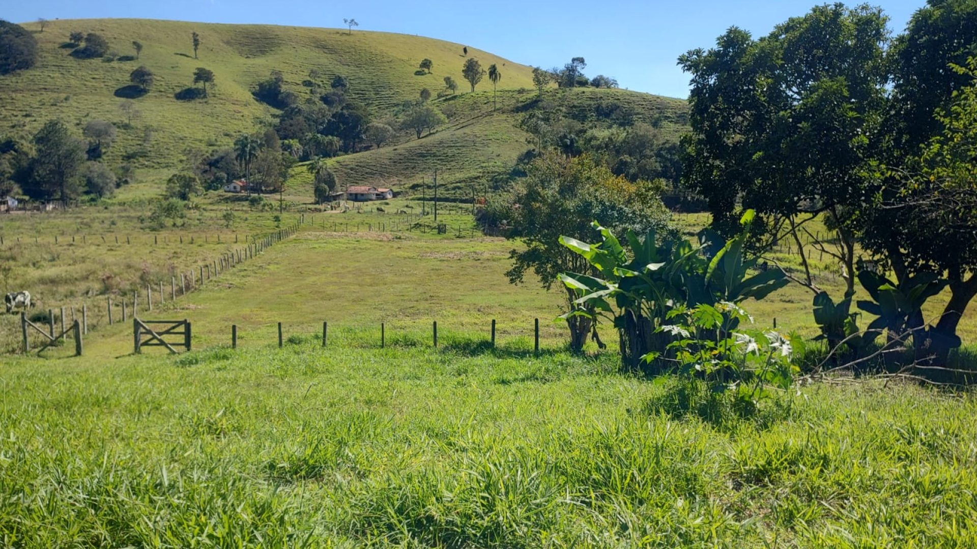 chacara-de-6-000m²-a-venda-em-cambui-mg (21)