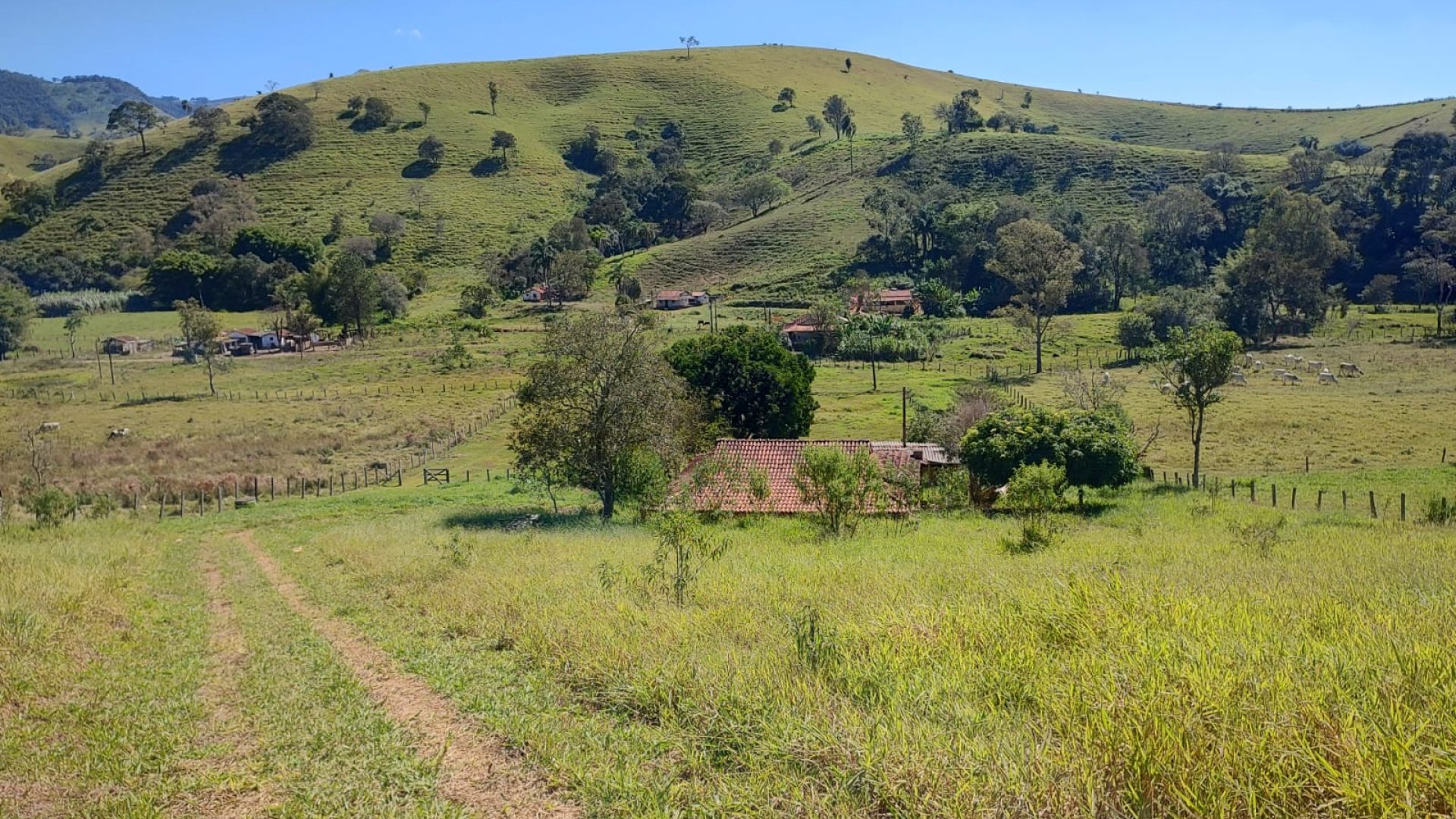 chacara-de-6-000m²-a-venda-em-cambui-mg (7)