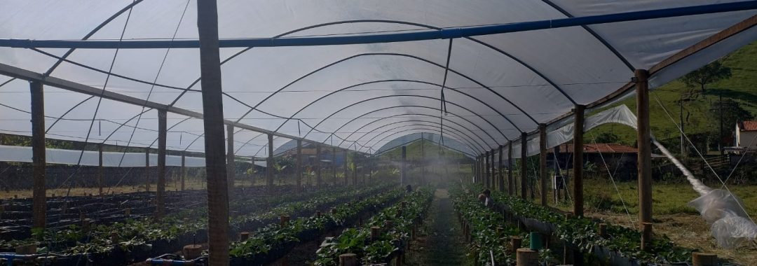 chacara-para-venda-em-cambui-no-sul-de-minas-4-500m² (15)