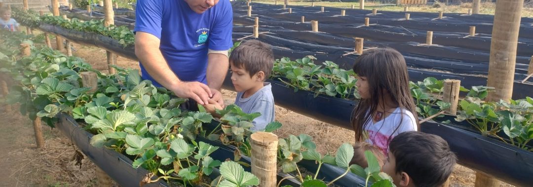 chacara-para-venda-em-cambui-no-sul-de-minas-4-500m² (23)