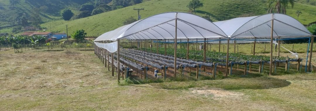 chacara-para-venda-em-cambui-no-sul-de-minas-4-500m² (5)