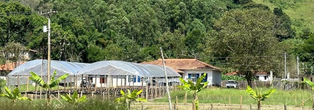 chacara-para-venda-em-cambui-no-sul-de-minas-5-000m²-silvacorretor (1)