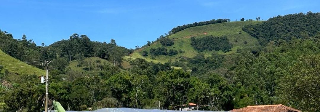 chacara-para-venda-em-cambui-no-sul-de-minas-5-000m²-silvacorretor (2)