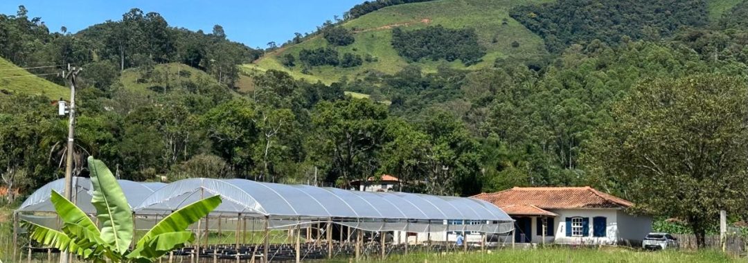 chacara-para-venda-em-cambui-no-sul-de-minas-5-000m²-silvacorretor (3)