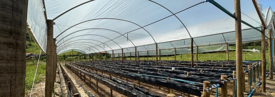 chacara-para-venda-em-cambui-no-sul-de-minas-5-000m²-silvacorretor (4)