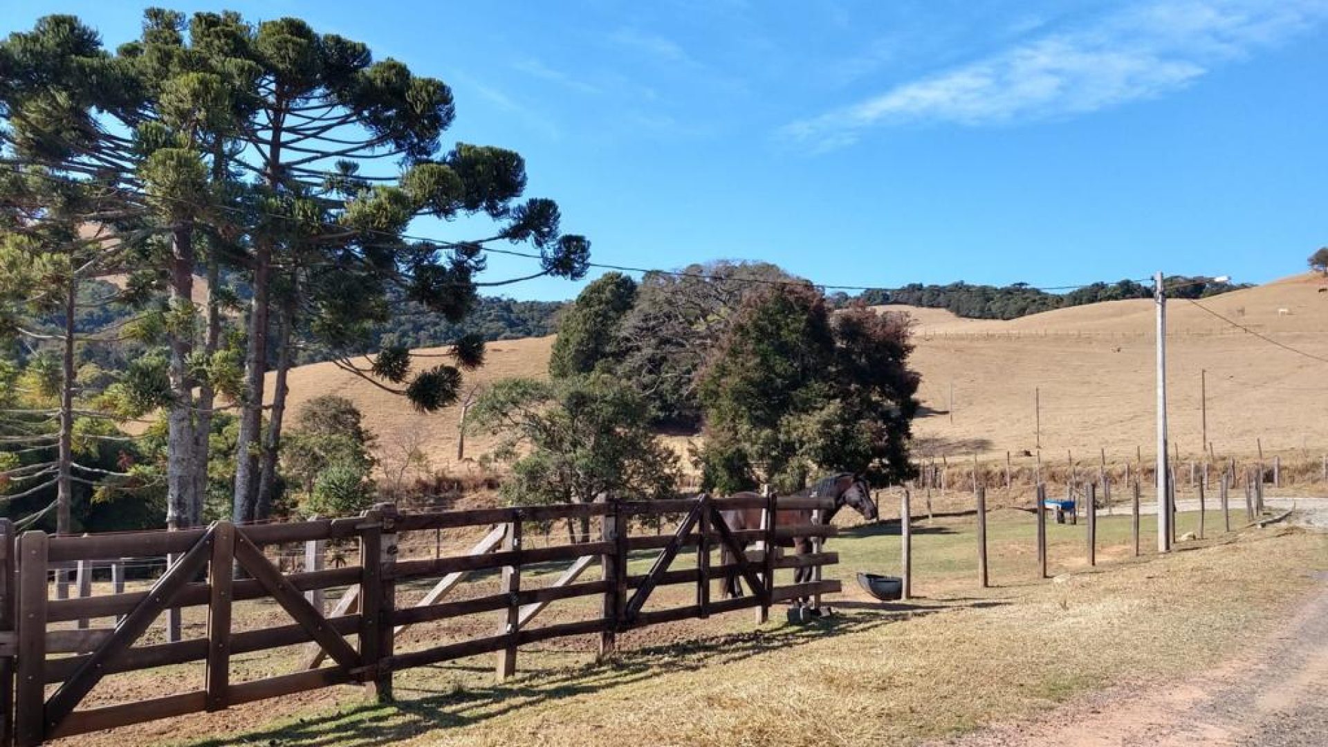 fazenda-de-73-alqueires-a-venda-na-regiao-de-cambui-no-sul-de-minas-1