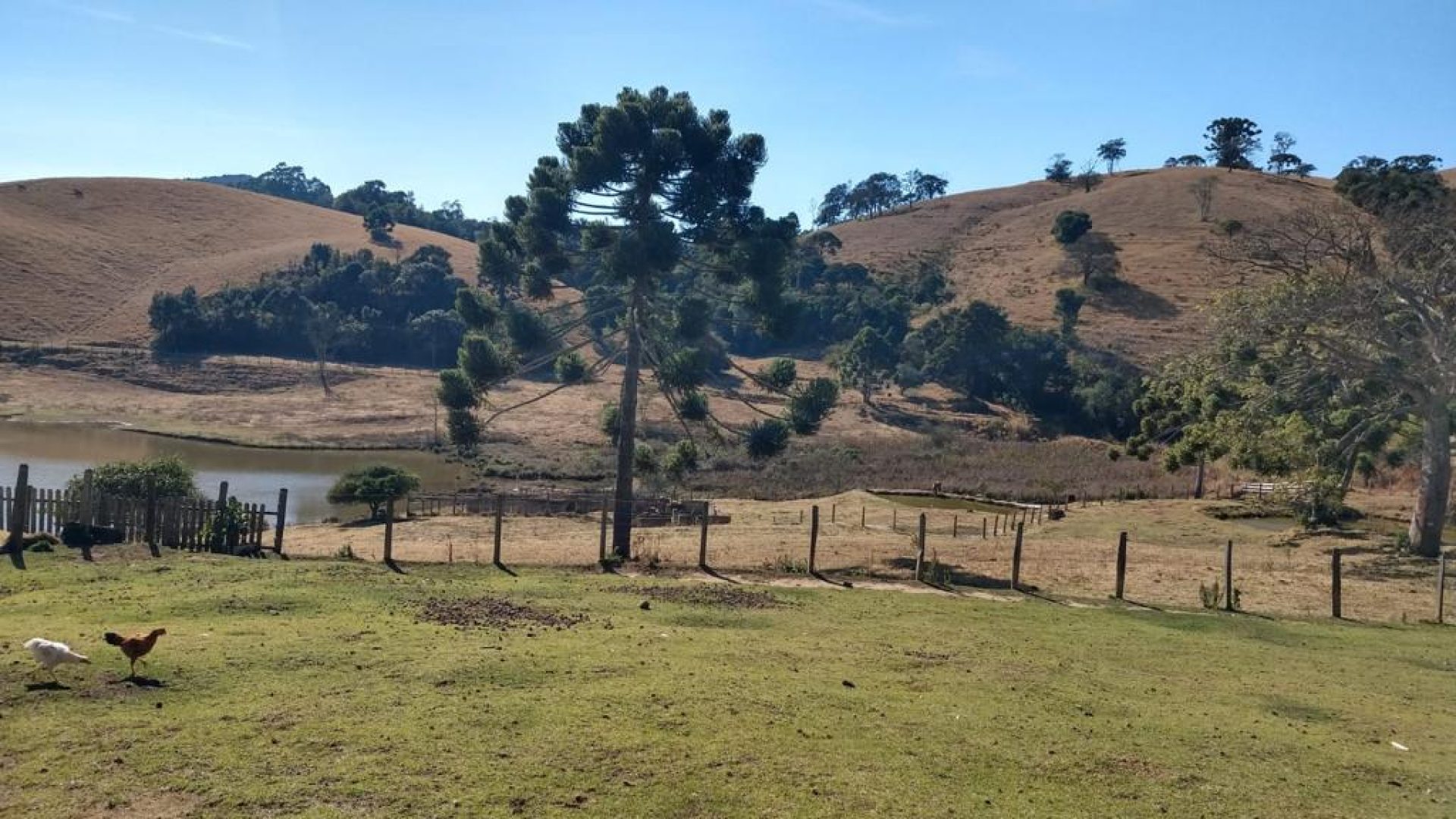 fazenda-de-73-alqueires-a-venda-na-regiao-de-cambui-no-sul-de-minas-4