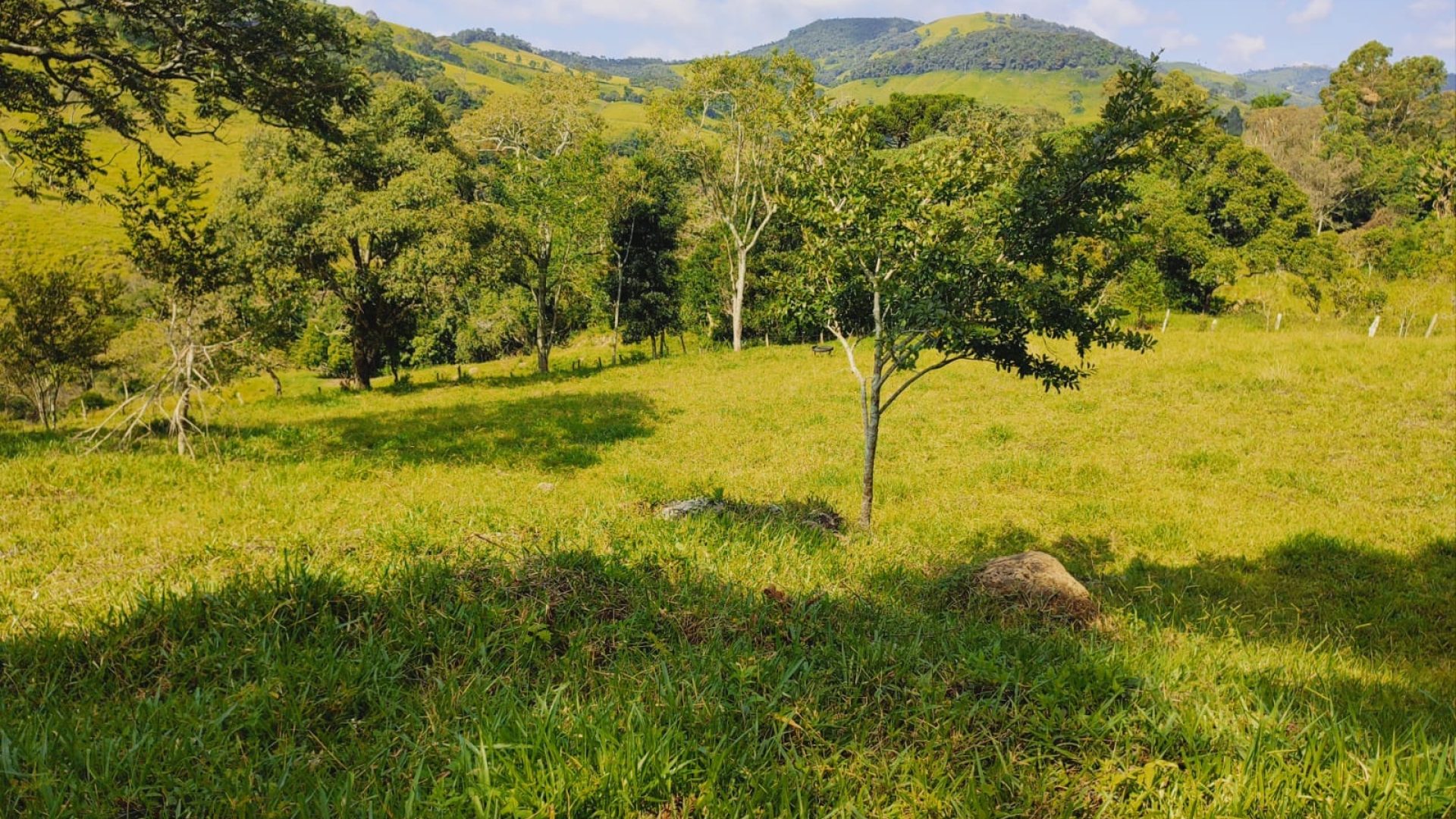 privacidade-e-tranquilidade-nas-montanhas-de-cambui-terreno-rural-de-20-000m² - silva-corretor-sul de minas (6)