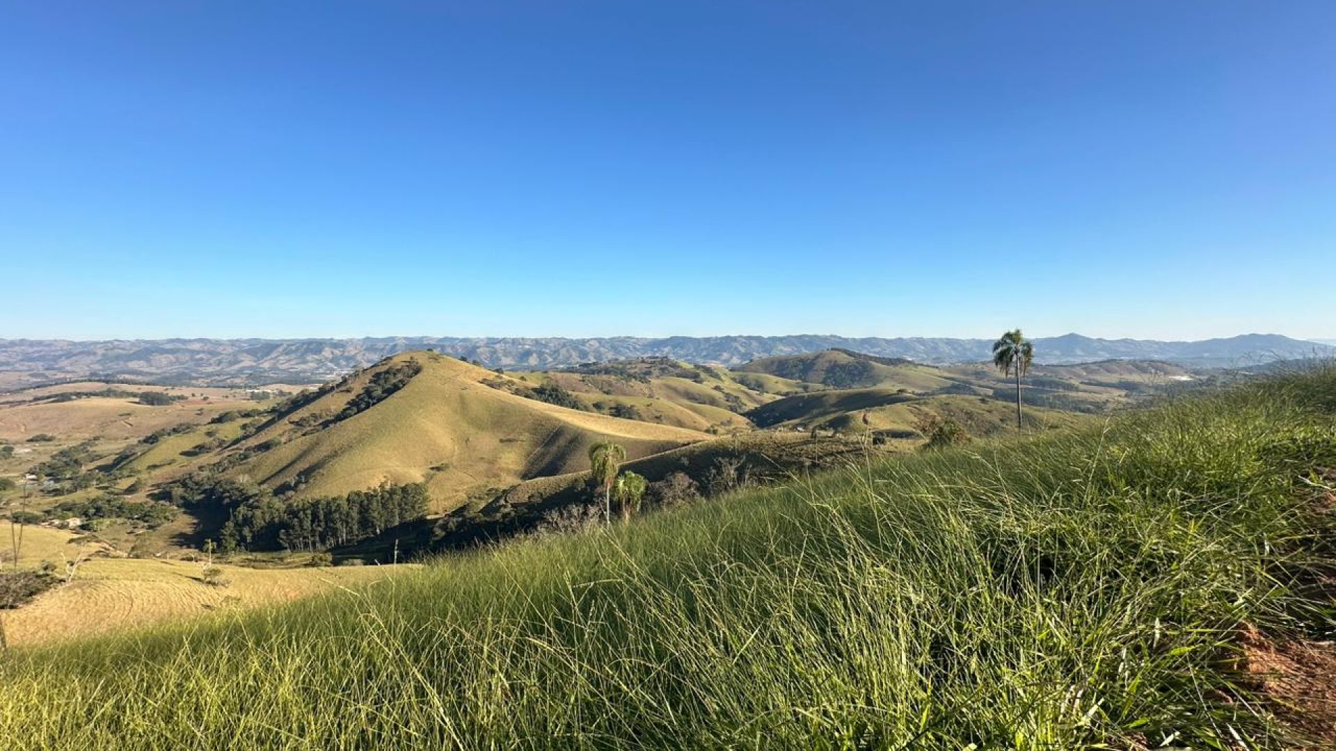 privacidade-vista-panoramica-na-serra-da-mantiqueira-terreno-rural-de-60-000-m2 (1)