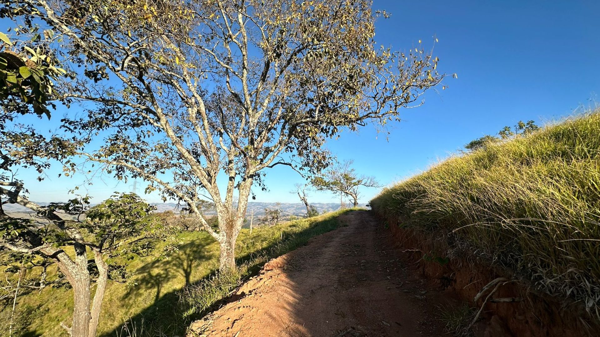 privacidade-vista-panoramica-na-serra-da-mantiqueira-terreno-rural-de-60-000-m2 (12)