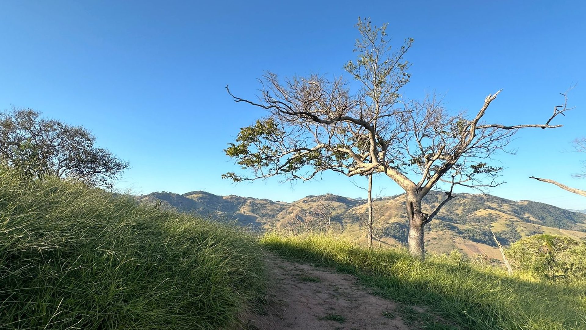 privacidade-vista-panoramica-na-serra-da-mantiqueira-terreno-rural-de-60-000-m2 (13)