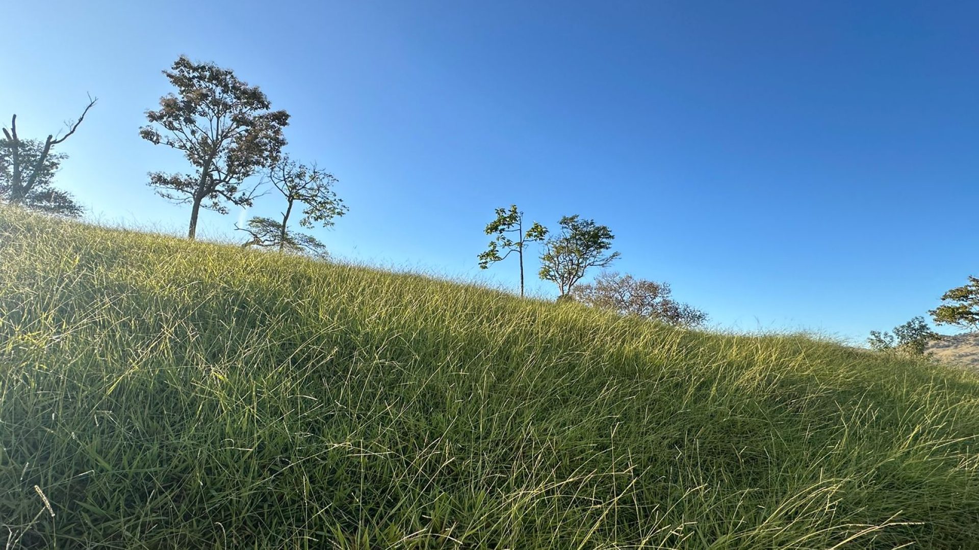 privacidade-vista-panoramica-na-serra-da-mantiqueira-terreno-rural-de-60-000-m2 (14)