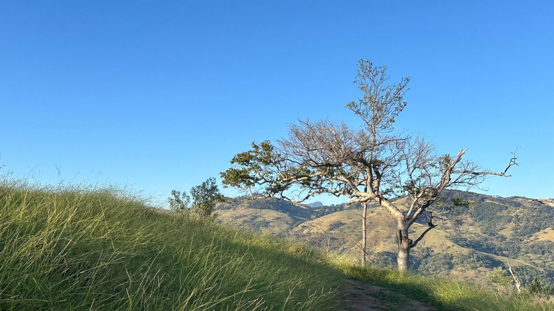 privacidade-vista-panoramica-na-serra-da-mantiqueira-terreno-rural-de-60-000-m2 (15)