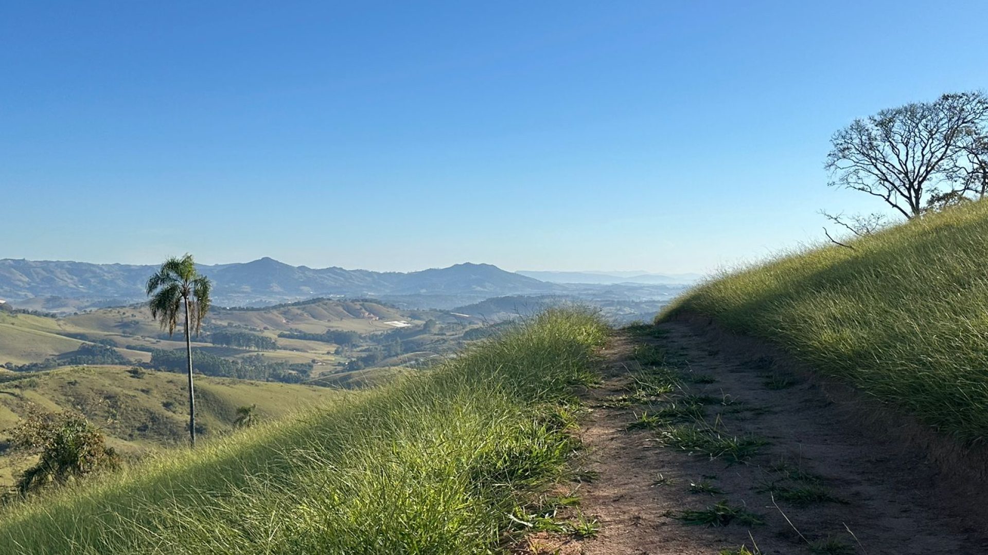 privacidade-vista-panoramica-na-serra-da-mantiqueira-terreno-rural-de-60-000-m2 (2)