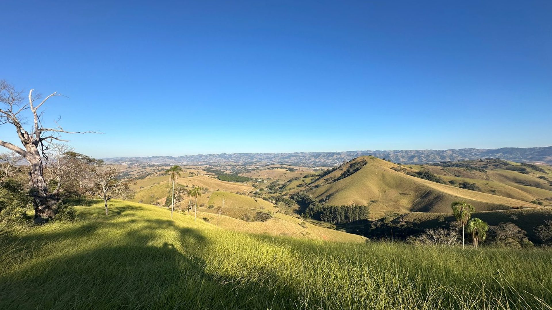 privacidade-vista-panoramica-na-serra-da-mantiqueira-terreno-rural-de-60-000-m2 (3)