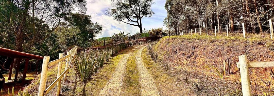 propriedade-rural-a-venda-em-corrego-do-bom-jesus-mg (13)