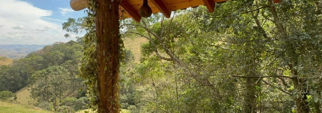 propriedade-rural-a-venda-em-corrego-do-bom-jesus-mg (28)