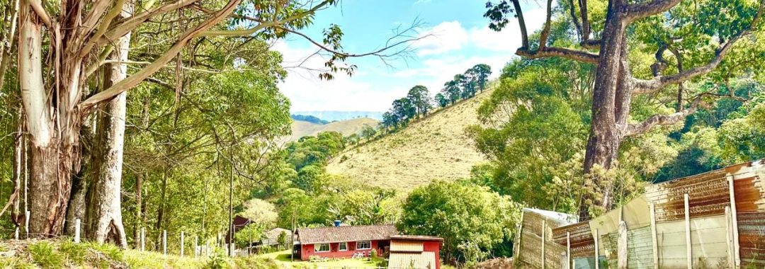 propriedade-rural-a-venda-em-corrego-do-bom-jesus-mg (30)