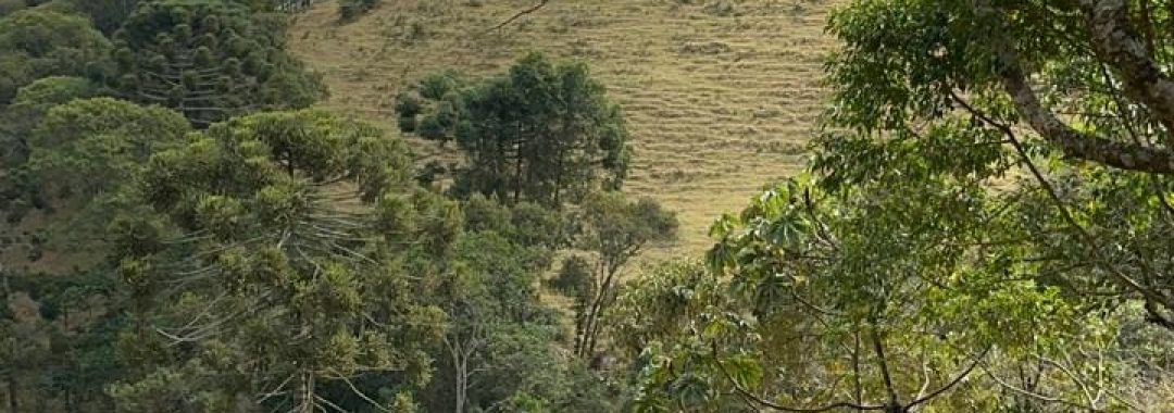 propriedade-rural-a-venda-em-corrego-do-bom-jesus-mg (33)