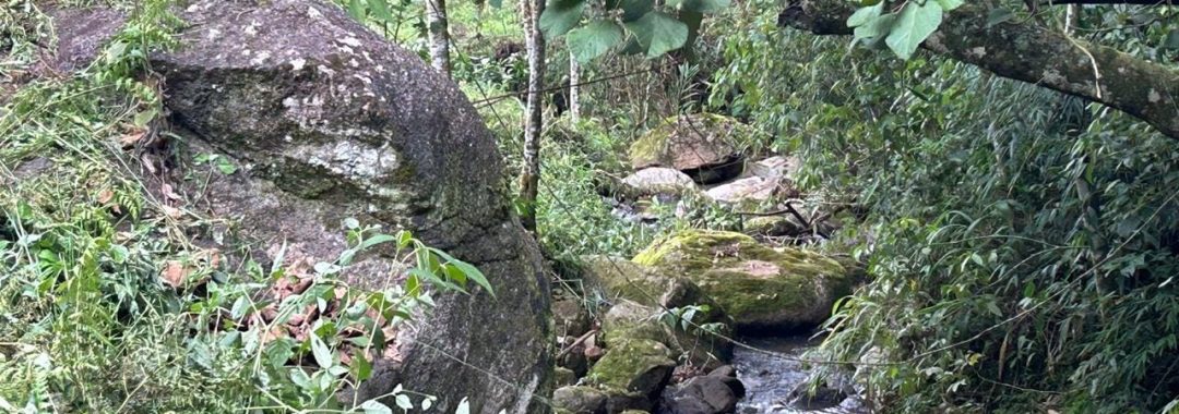 propriedade-rural-a-venda-em-corrego-do-bom-jesus-mg (43)