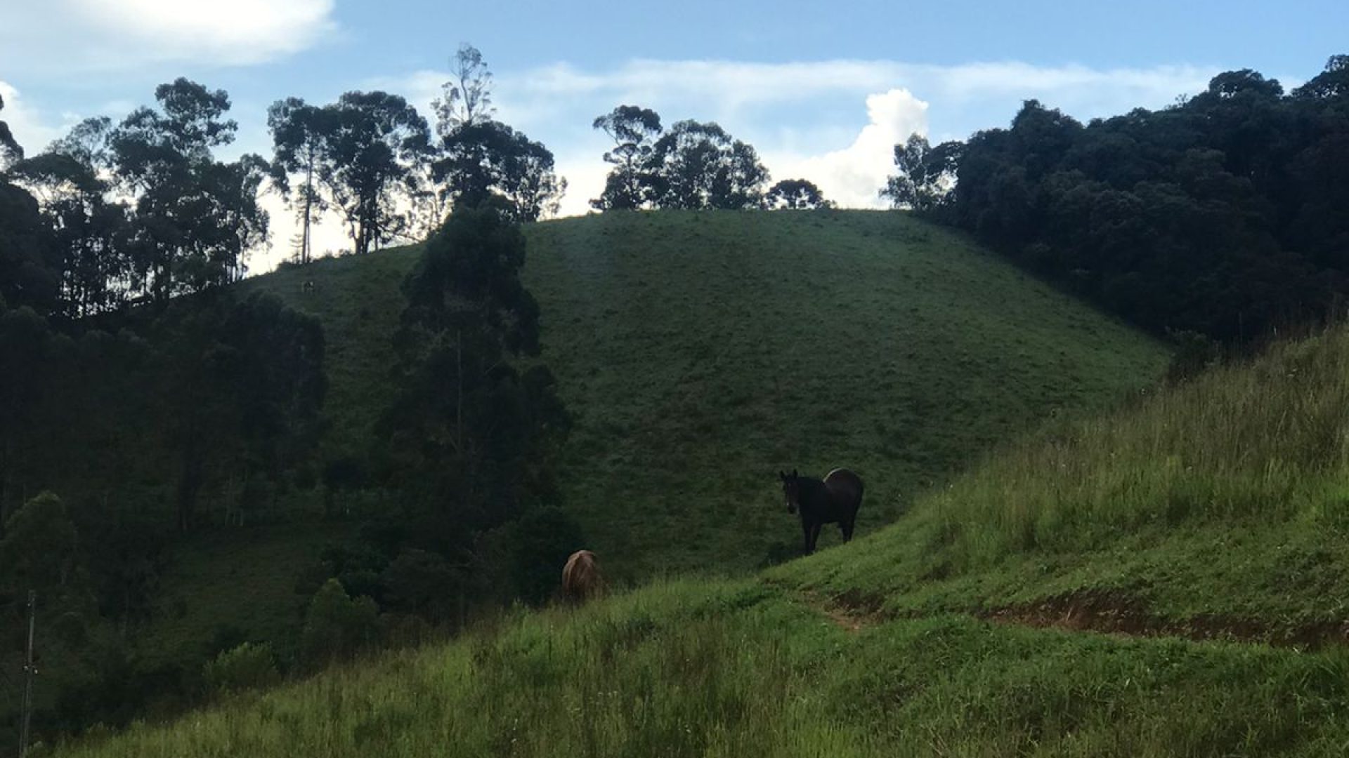 propriedade-rural-a-venda-regiao-de-camanducaia-mg-40-807-m²-1-366m-de-altitude (12)